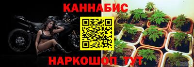 Альфа ПВП Жуковский