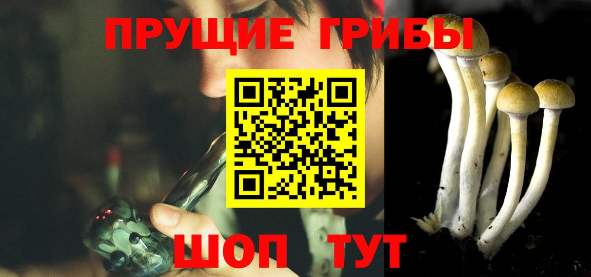 Псилоцибиновые грибы мицелий Люберцы